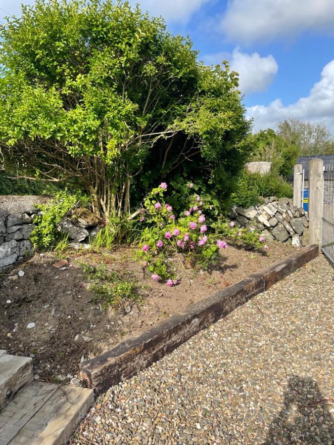 Lakeside lodge Kilfenora Exterior foto